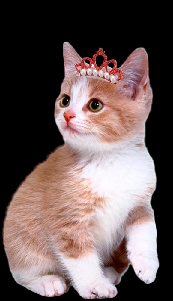 Pet Small Dogs Cat Faux Pearl Crown Shape Bows Hair Clips Head Decoration for Pets Puppy Hairpins Decor Grooming Accessoires